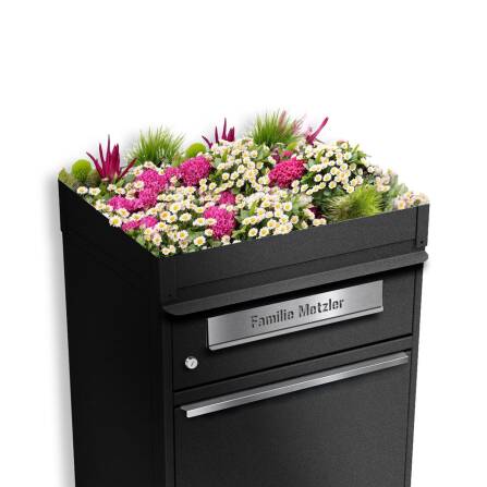 Metzler Pflanzdach für Paketbox | Dachbegrünung für Paketbriefkasten | Tiefschwarz | für Modellreihe Bispo