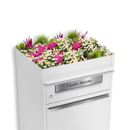 Metzler Pflanzdach für Paketbox | Dachbegrünung...