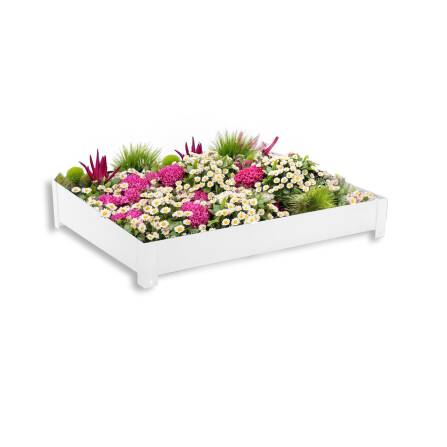 Metzler Pflanzdach für Paketbox | Dachbegrünung für Paketbriefkasten | Verkehrsweiß | für Modellreihe Bispo