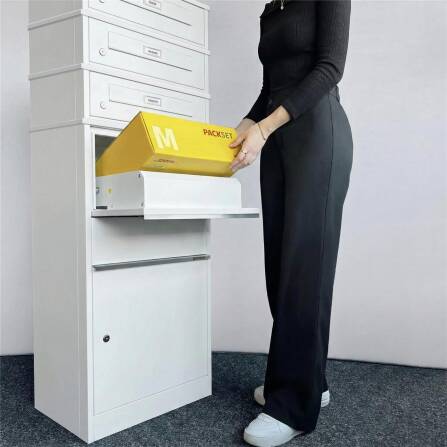 Metzler Boîte à colis avec 3 compartiments pour lettres et plaques de nom échangeables | pour colis jusquà taille M | Bispo RE