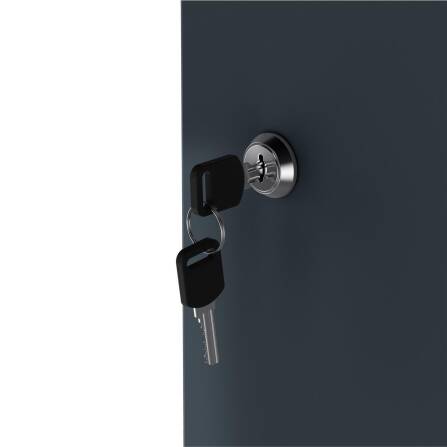 Metzler Box per bidoni della spazzatura con tetto piantabile | 2 unità | 240l | in alluminio | inossidabile & massiccio | Antracite RAL 7016