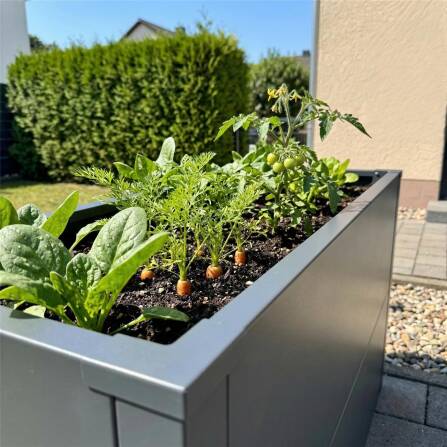 Metzler Hochbeet S für den Garten | kompakte Größe | RAL 7016 Anthrazitgrau | 25 x 100 x 27 cm