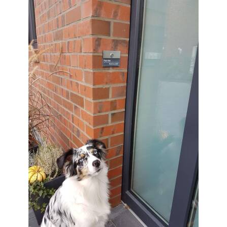 Campanello in Acciaio Inox Antracite con Incisione 3D del Nome + Pulsante LED opzionale | Sena